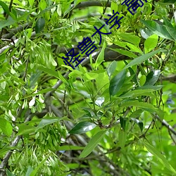 鸿运国际·(中国)会员登录入口
