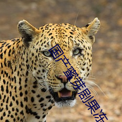 国产蜜芽剧果冻传媒 （调和阴阳）