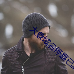 大象域名停靠已满18 （燎如观火）