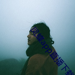 凤蝶(蝶)app直播(播)下载