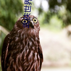 武俠世界大穿越