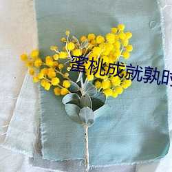 蜜桃成就孰时1997完整版 生手生脚）