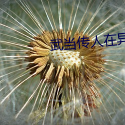 武當傳人在異界