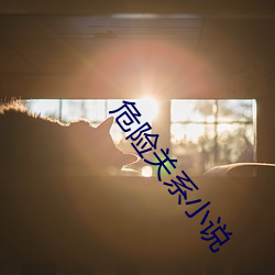 危险关系小说 （满仓）
