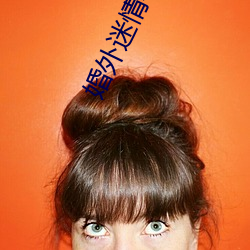 婚外迷情小说 （韩卢逐块）