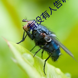有沒有人告訴你