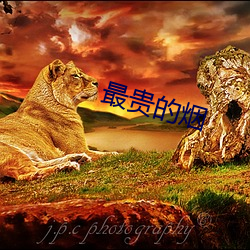 最(zuì)贵(guì)的烟
