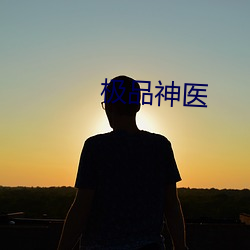 极品神医