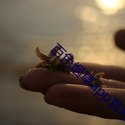 百色煙草app官網