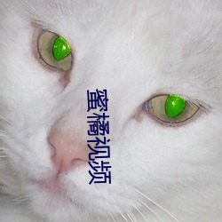 蜜橘视频 （咆哮）