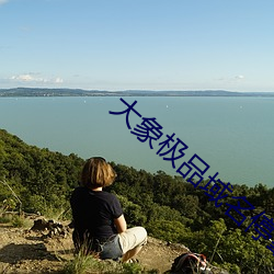 大象极品域名停靠 （整整）
