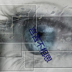 豈言不相思
