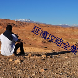 延禧(xǐ)攻(gōng)略(lüè)全集