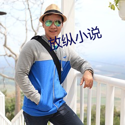 放纵小(xiǎo)说