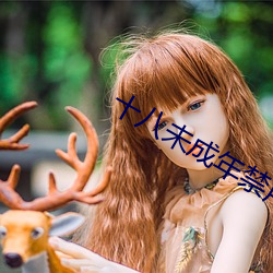 十八未成年禁用网站