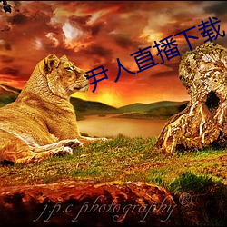 尹人直播下载