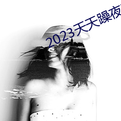 2023天天躁夜夜燥