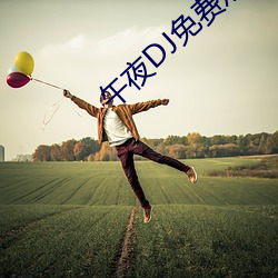 午夜DJ免费观看