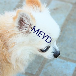 MEYD 