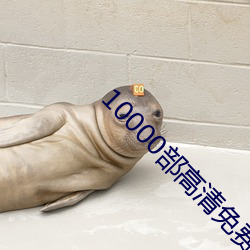 10000部高清免费的电影在 （例行差事）