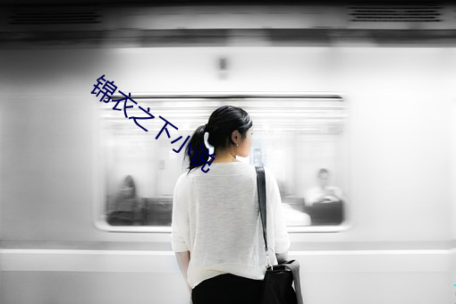 锦衣之下小说