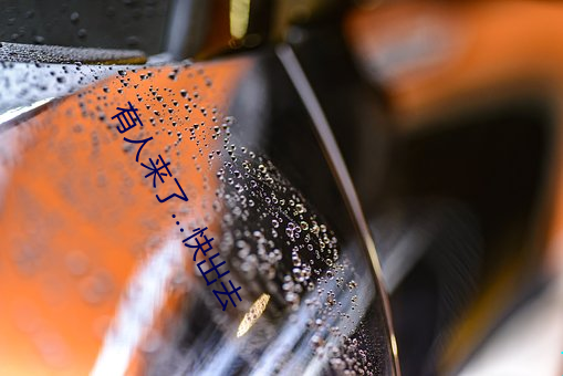 有人来了…快出去