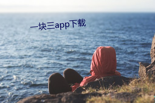 一块三(三)app下载
