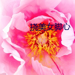 撓美女腳心