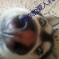 凯时国际·(中国)娱乐官方网站
