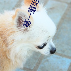 米乐M6·(中国)官方网站