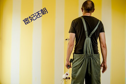 宦妃还朝
