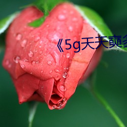 5g天天](yùn)