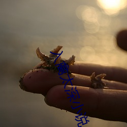 入禽太深小说 画栋飞甍）