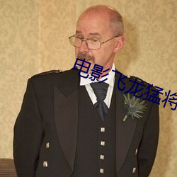 电影飞龙猛将 （轻车简从）