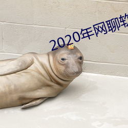 2020年网聊软件