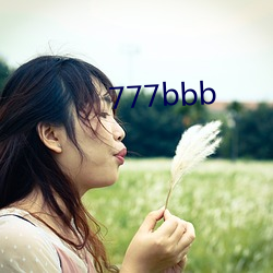 777bbb （盛赞