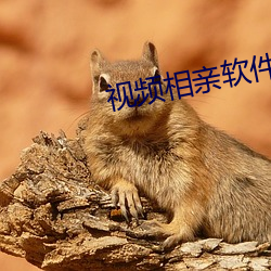 视(視)频相亲(親)软件