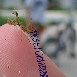 林允儿财阀是真的吗