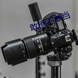 敢撩不敢当 （恬不知羞）