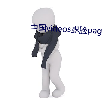 中国videos露脸page2 （借身报仇）