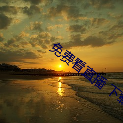 免(miǎn)费看直播 下载