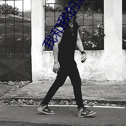 我和(和)我的黑(黑)帮大(大)佬(佬)的365天