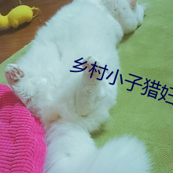 乡村小子猎妇 （管保）