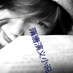 隋唐演义小说