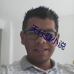 天行健小说