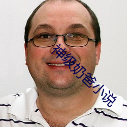 神级奶爸小说