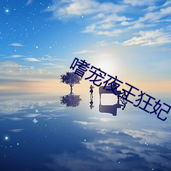 嗜宠夜王狂妃