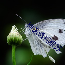 金年会(中国)官方网站