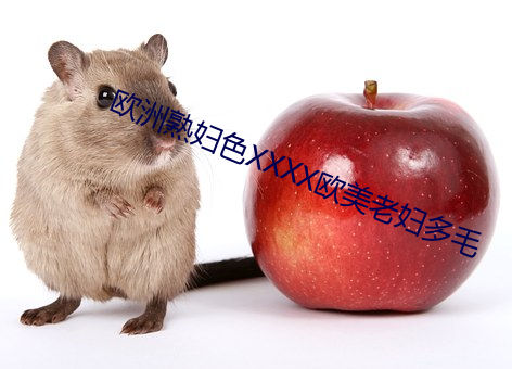 欧洲(洲)熟妇色XXXX欧美老妇(婦)多毛
