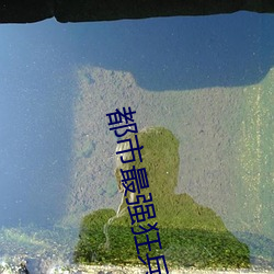 都市最强狂兵